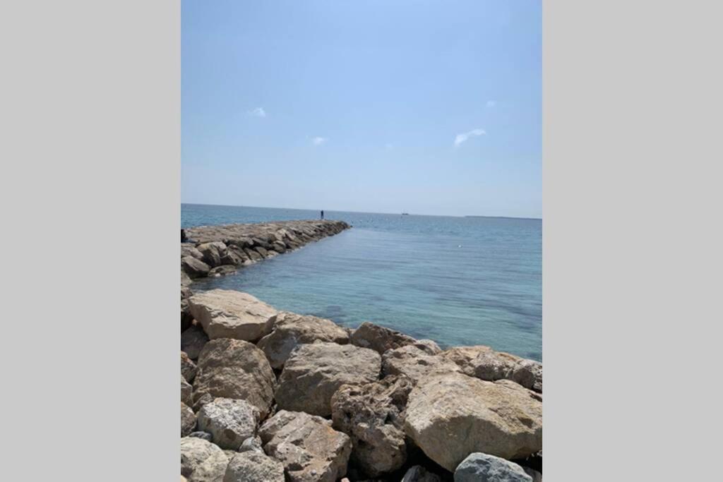 Juan Les Pins Joli T2 Parking Inclus! Apartment Antibes Ngoại thất bức ảnh